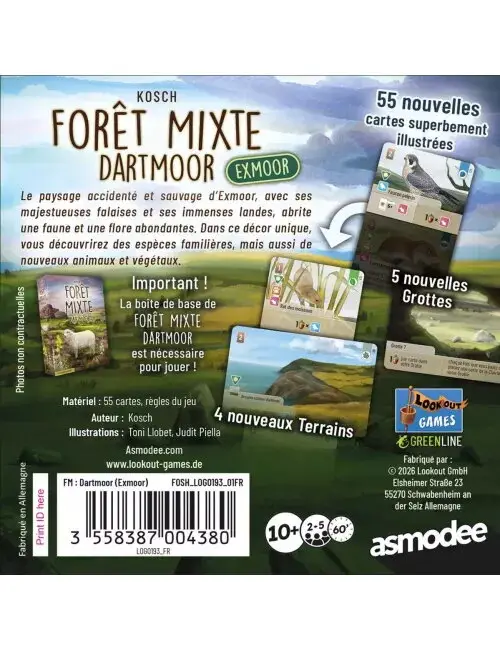 Forêt Mixte - Dartmoor: Exmoor 2 Forêt Mixte - Dartmoor: Exmoor – Image 2