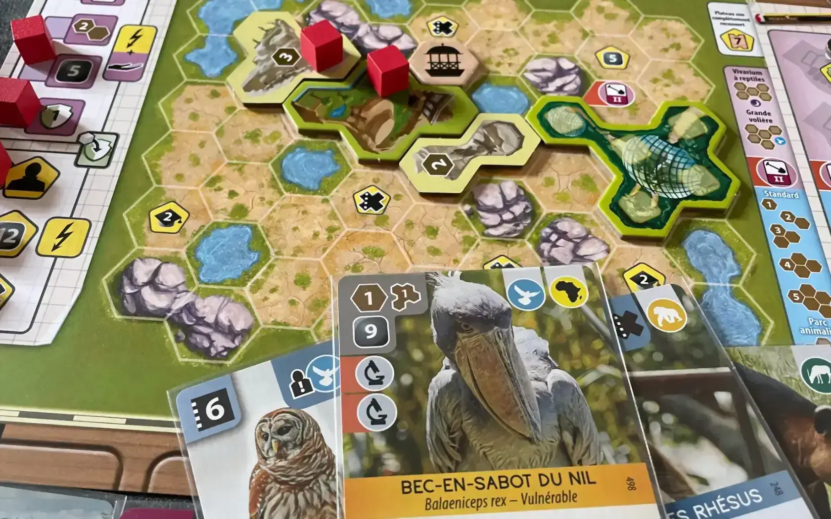 Ark Nova 3 Ark Nova – Image 3