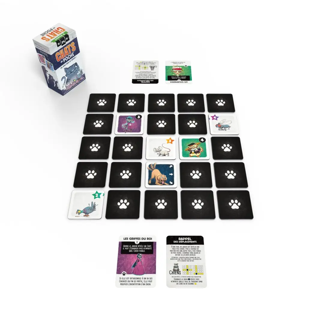 Chat de Poche 2 Chat de Poche – Image 2