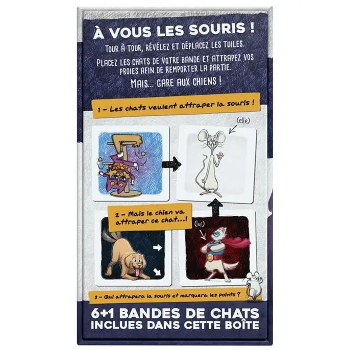 Chat de Poche 3 Chat de Poche – Image 3