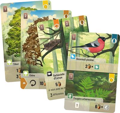 Forêt Mixte 3 Forêt Mixte – Image 3