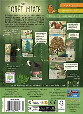 Forêt Mixte 2 Forêt Mixte – Image 2